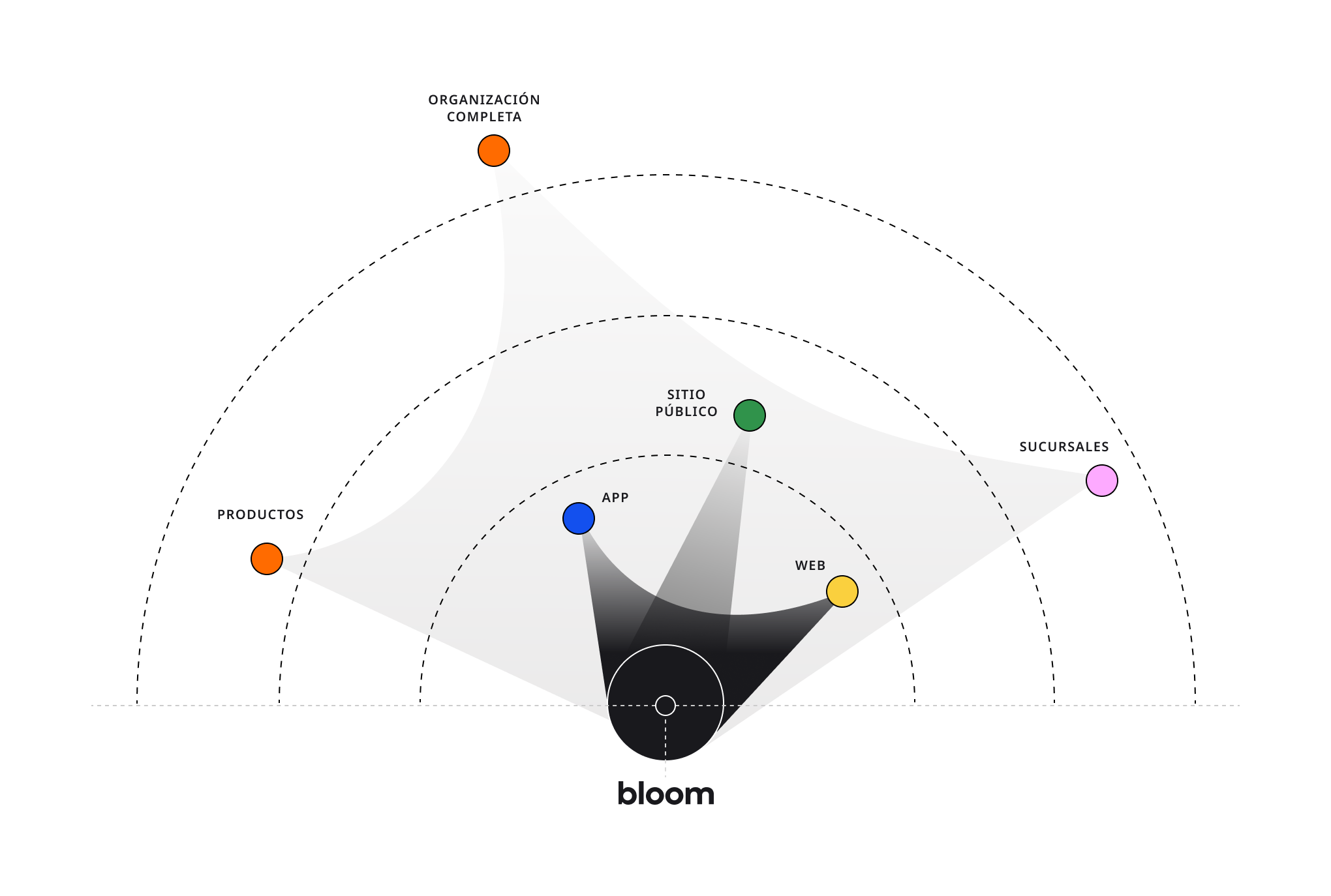 Esquema visual que representa la perspectiva de bloom para la consultoría. Aunque el enfoque principal del estudio fue la experiencia de los clientes también alcanzamos a ver elementos incumbentes en la experiencia digital como el sitio público, sucursales, productos, entre otros